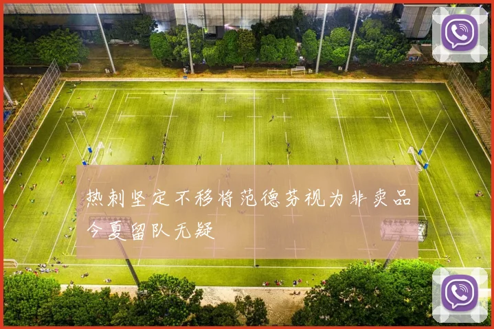 热刺坚定不移将范德芬视为非卖品今夏留队无疑