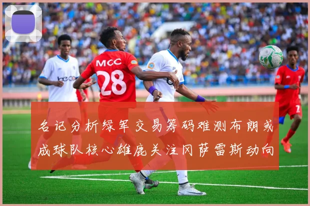名记分析绿军交易筹码难测布朗或成球队核心雄鹿关注冈萨雷斯动向